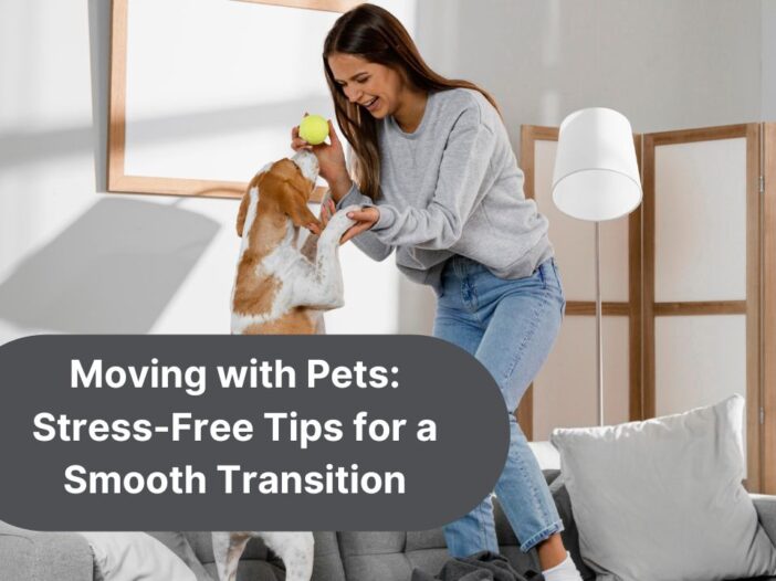 Moving with Pets Stress-Free Tips for a Smooth Transition