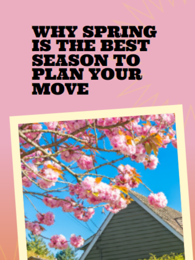 Why Spring Is the Best Time to Move?